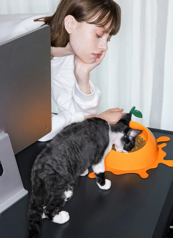 Pet Bowl + Spoon + Mat Set – Angled ABS Bowl, Non-Slip Silicone Mat, 8.5 in, Orange/Green