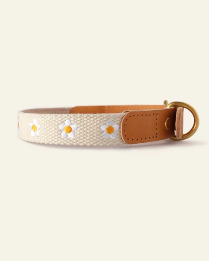 Dog Collar + Leash Set – Daisy Embroidery, Cotton/Leather, 5 ft Leash