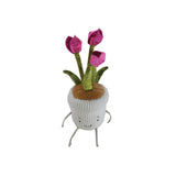 Window Sill-ies Tulip