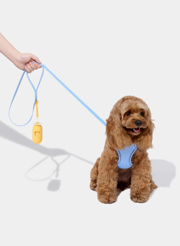 Set met harnas en riem voor huisdieren – madeliefjesprint, mesh, reflecterend, maten XXS–L