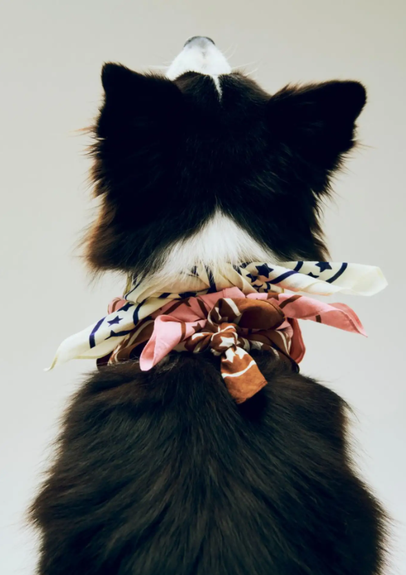 Bandana rose pour chien – 50 % coton recyclé, 55 × 55 cm, à nouer