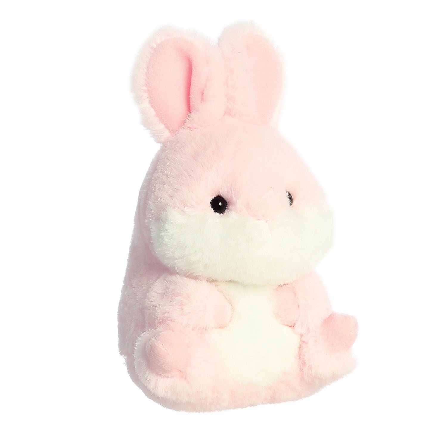 '- Rolly Pet - 5