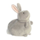 '- Spring - Pudgeez - 7" Greg Bunny