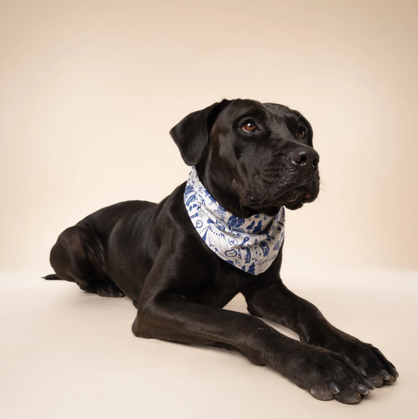 Hondenbandana – Wander Outdoors Print, 100% katoen, om vast te knopen, dubbelzijdig 