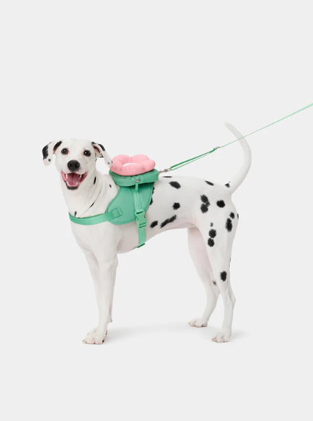 Flora Pet Rugzak, Harnas & Lijnset – 3-in-1, Verstelbaar, XS–L 