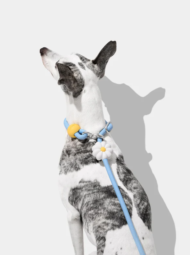 Hands-Free Rope Dog Leash – 3-Mode Adjustable, 4.4–8.2 ft, 0.5 in