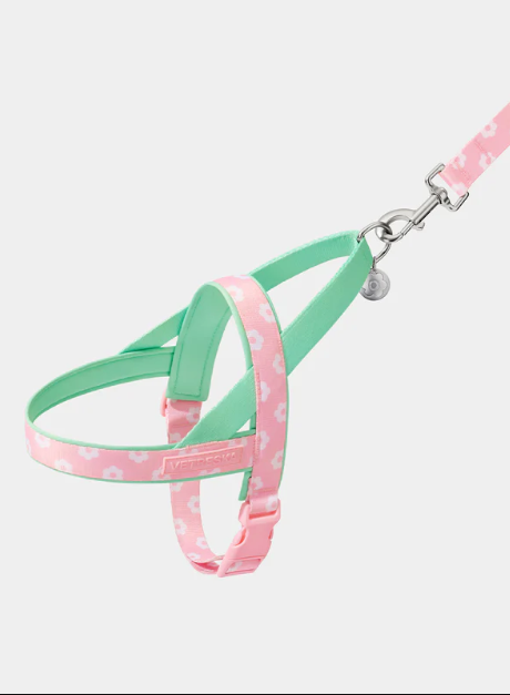 Set van harnas en riem voor huisdieren – Flora Print, lichtgewicht, XS–M 