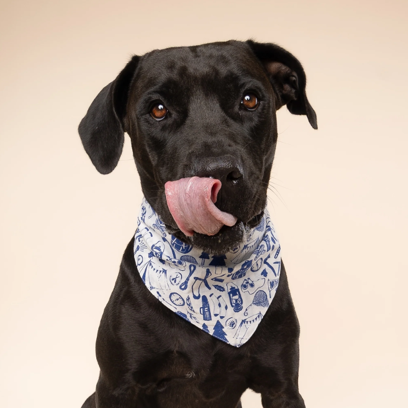 Dog Bandana – Wander Outdoors Print, 100% Cotton, Tie-On, Double-Sided