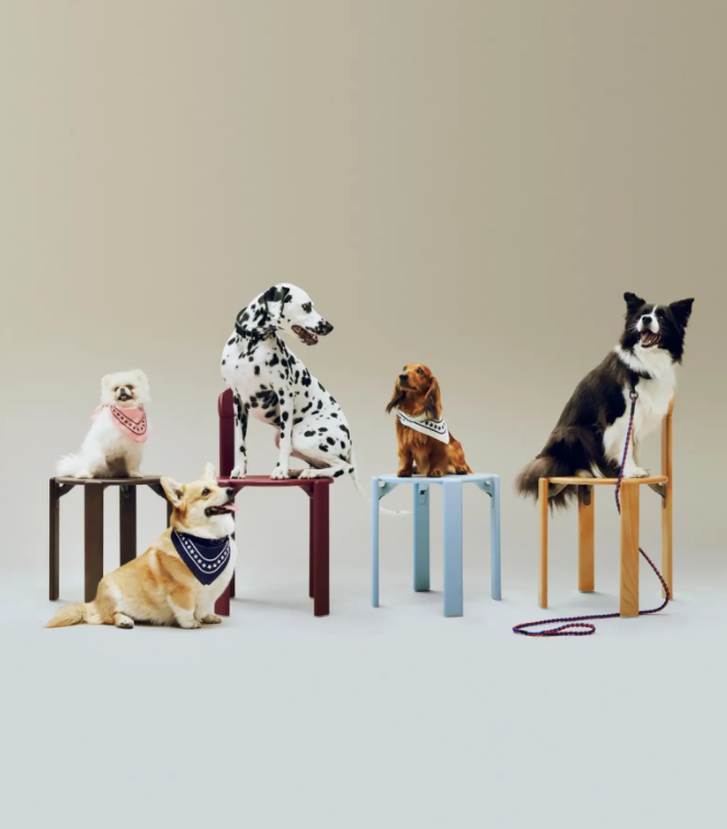 Bandana rose pour chien – 50 % coton recyclé, 55 × 55 cm, à nouer