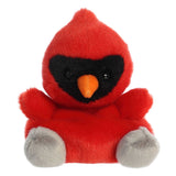 '- Palm Pals - 5" Louis Cardinal