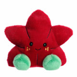 '- Palm Pals - 5" Carmine Poinsettia