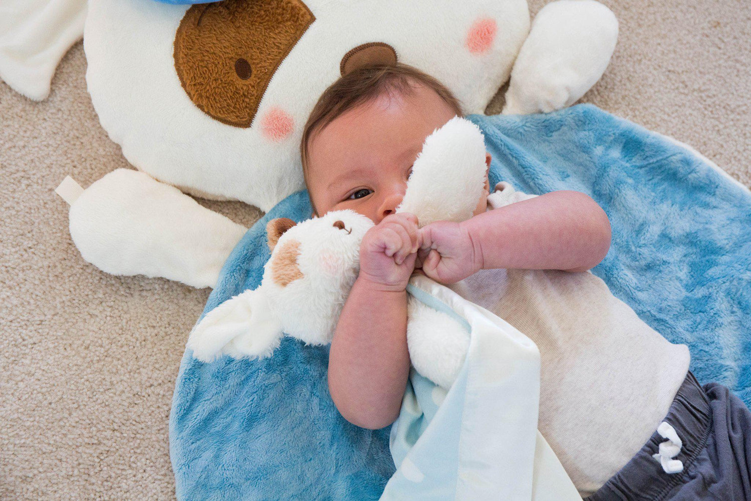 Skipit Puppy Polka Dot Buddy Blanket