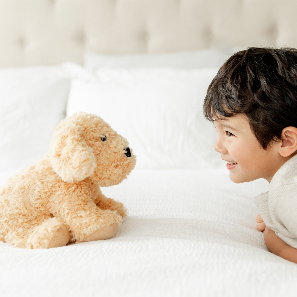 Unscented Golden Dog Heatable Plush