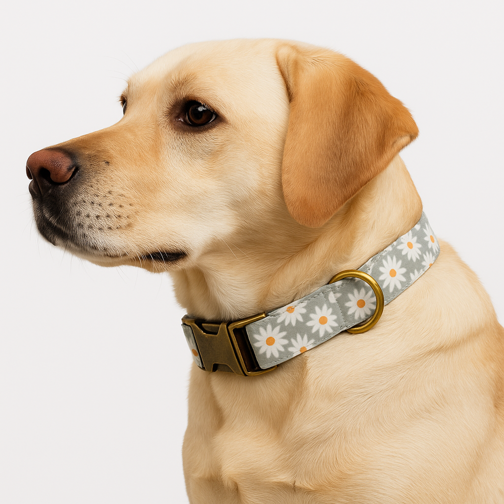 Adjustable Fabric Dog Collar – 4-Layer Sewn XS–XL