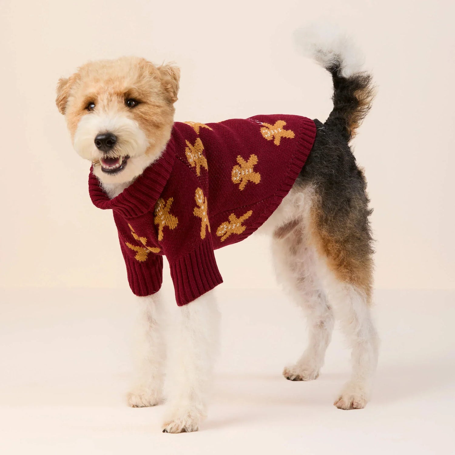 Gingerbread Knit Dog Sweater