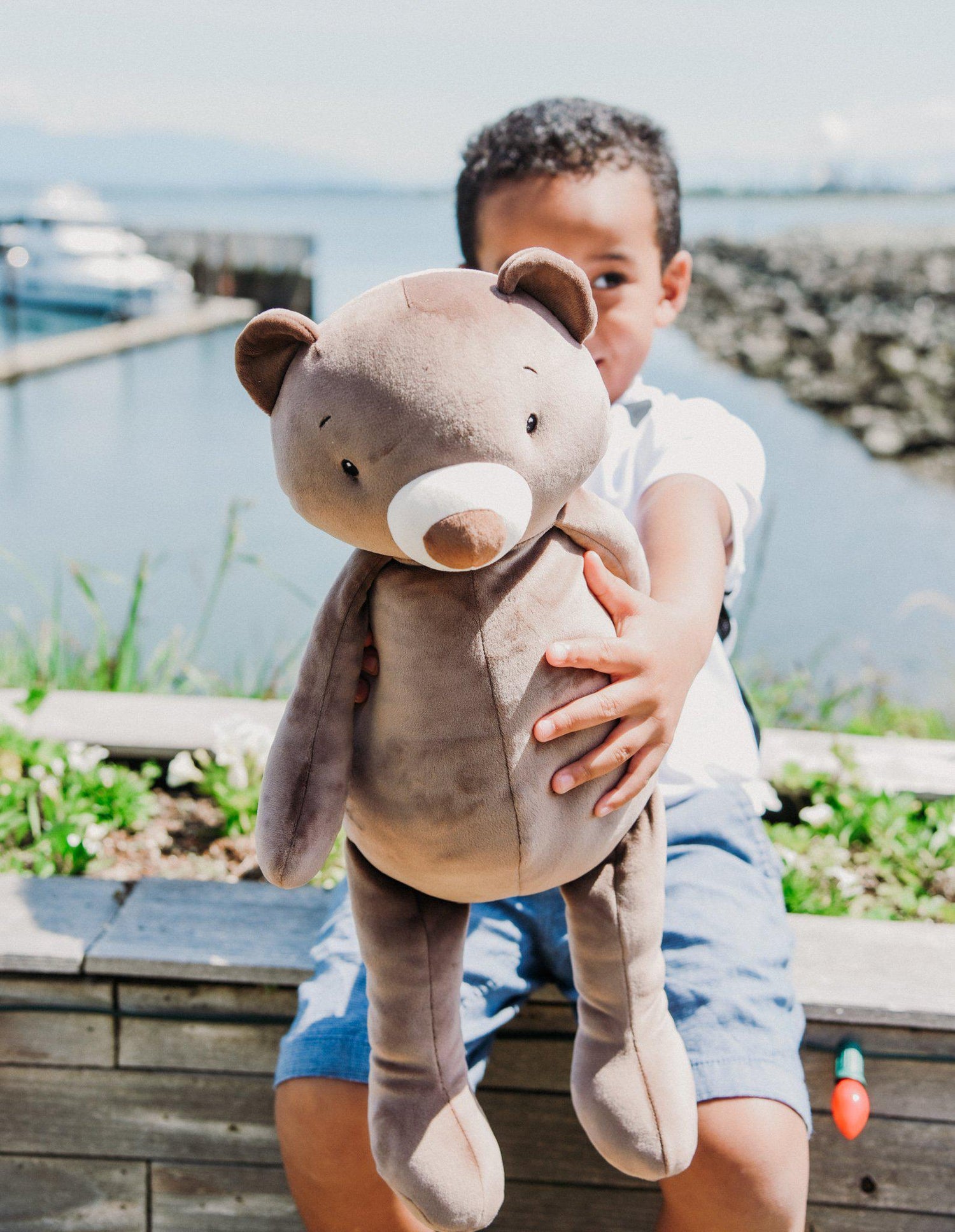 Huggable Cubby - Plush Bear