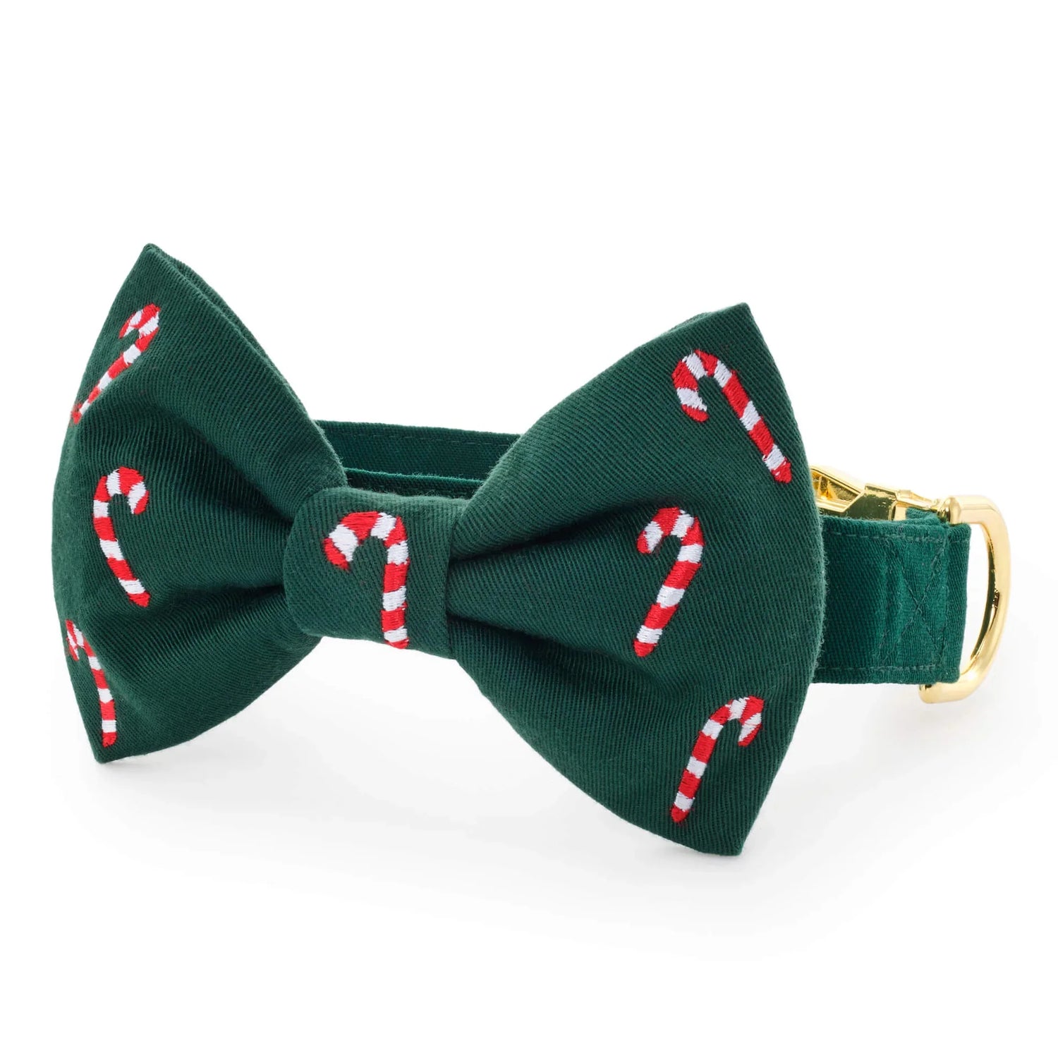 Green Dog Collar with Removable Embroidered Bow