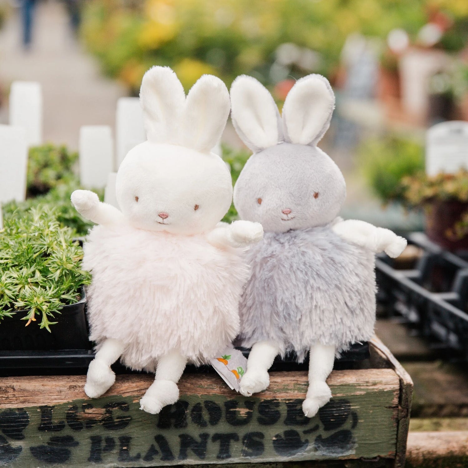 Roly Poly Blossom- Pink Bunny