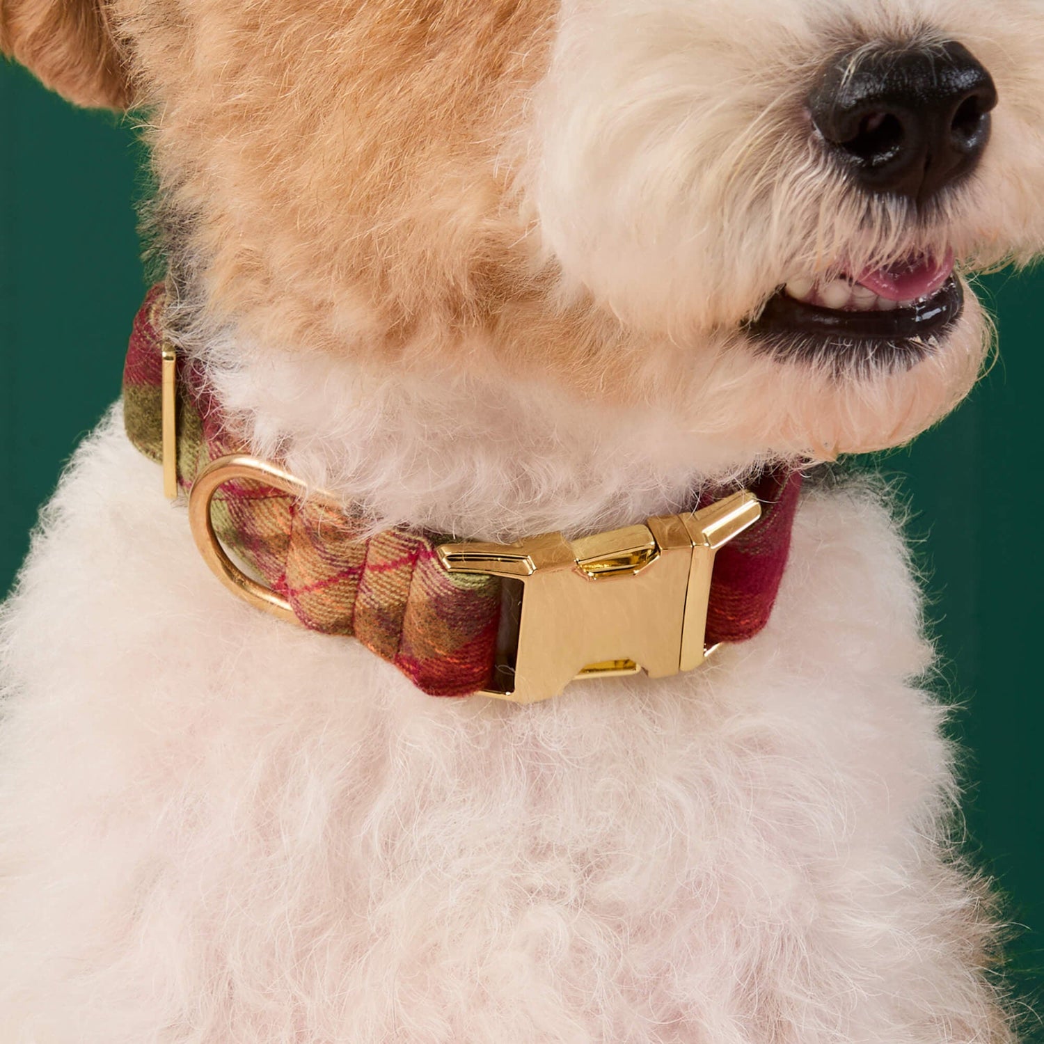 Adjustable Plaid Dog Collar with Removable Bow