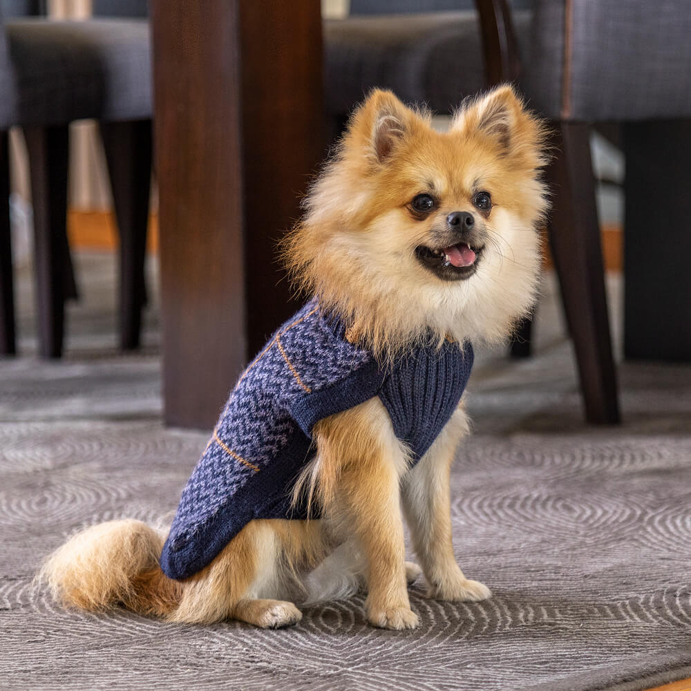 Alpaca Blend V-Neck Dog Sweater