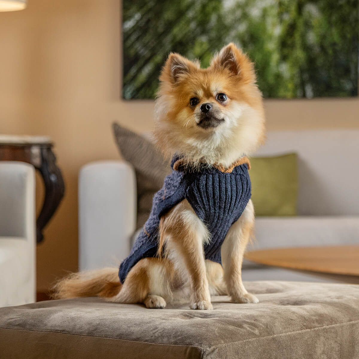 Alpaca Blend V-Neck Dog Sweater