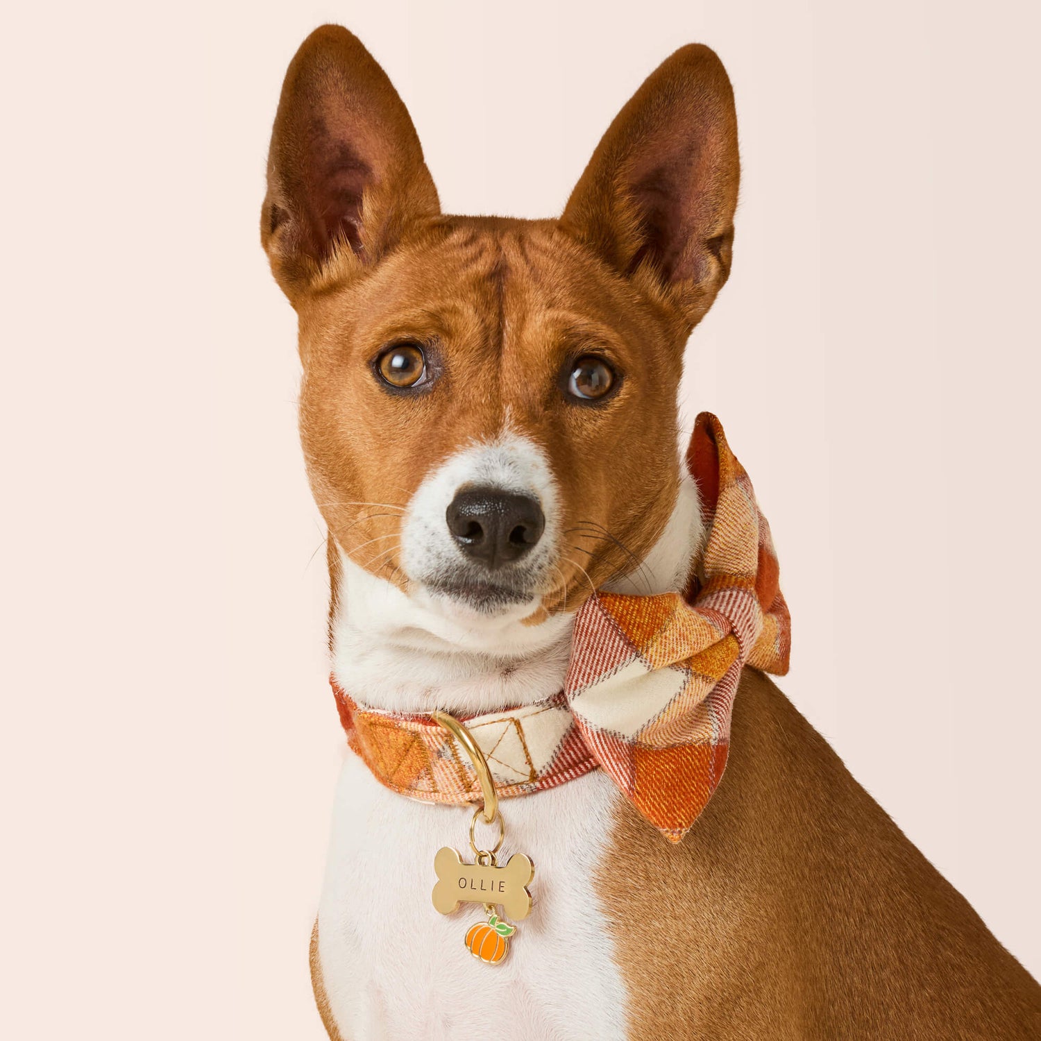 Plaid Dog Collar with Removable Bow