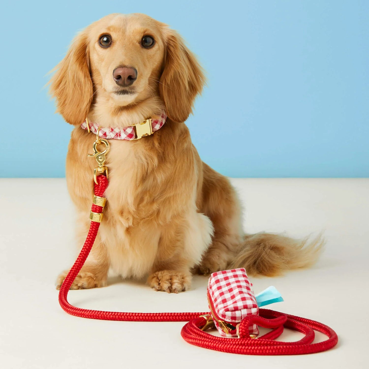Red Gingham Poop Bag Holder