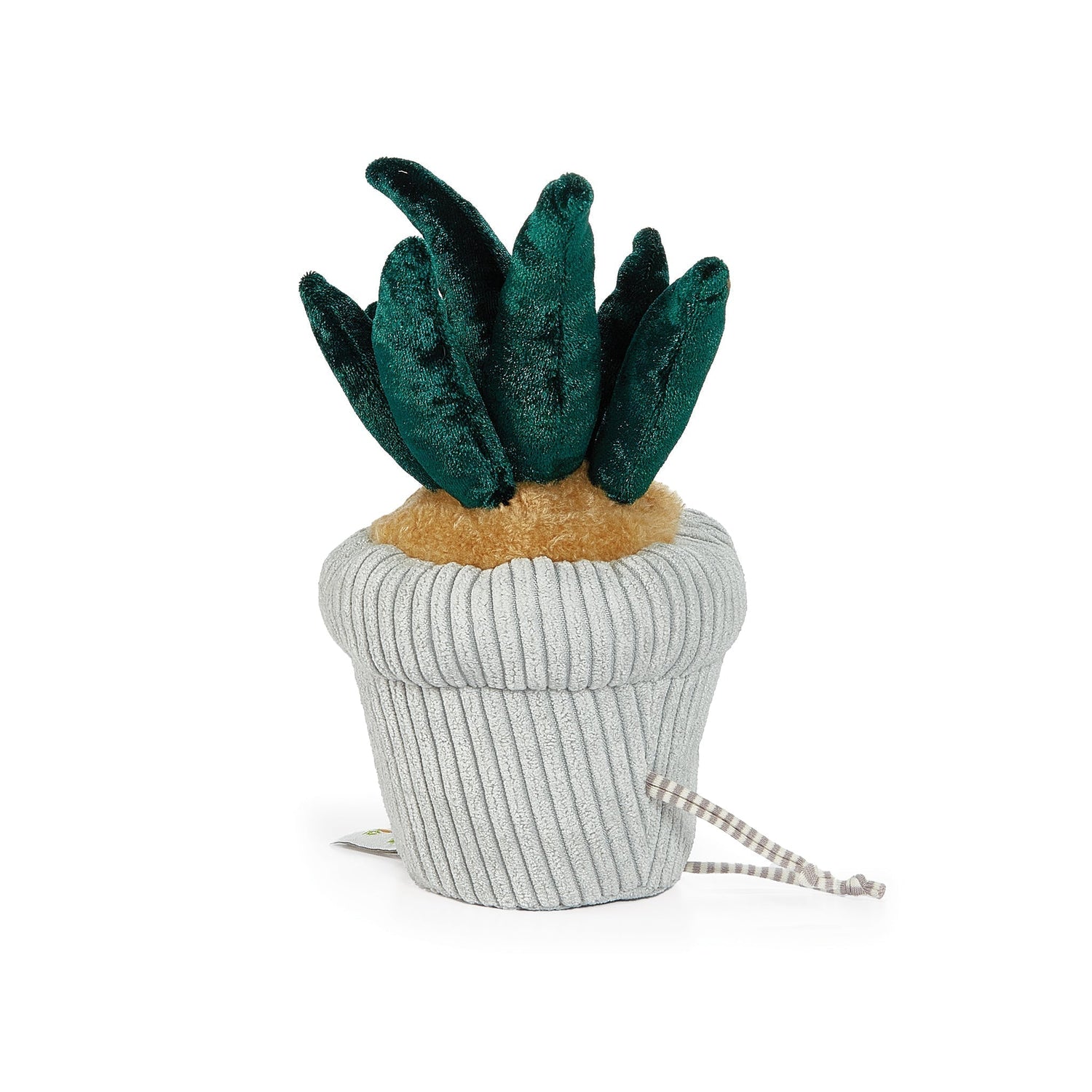 Snake Plant Windowsill Plush