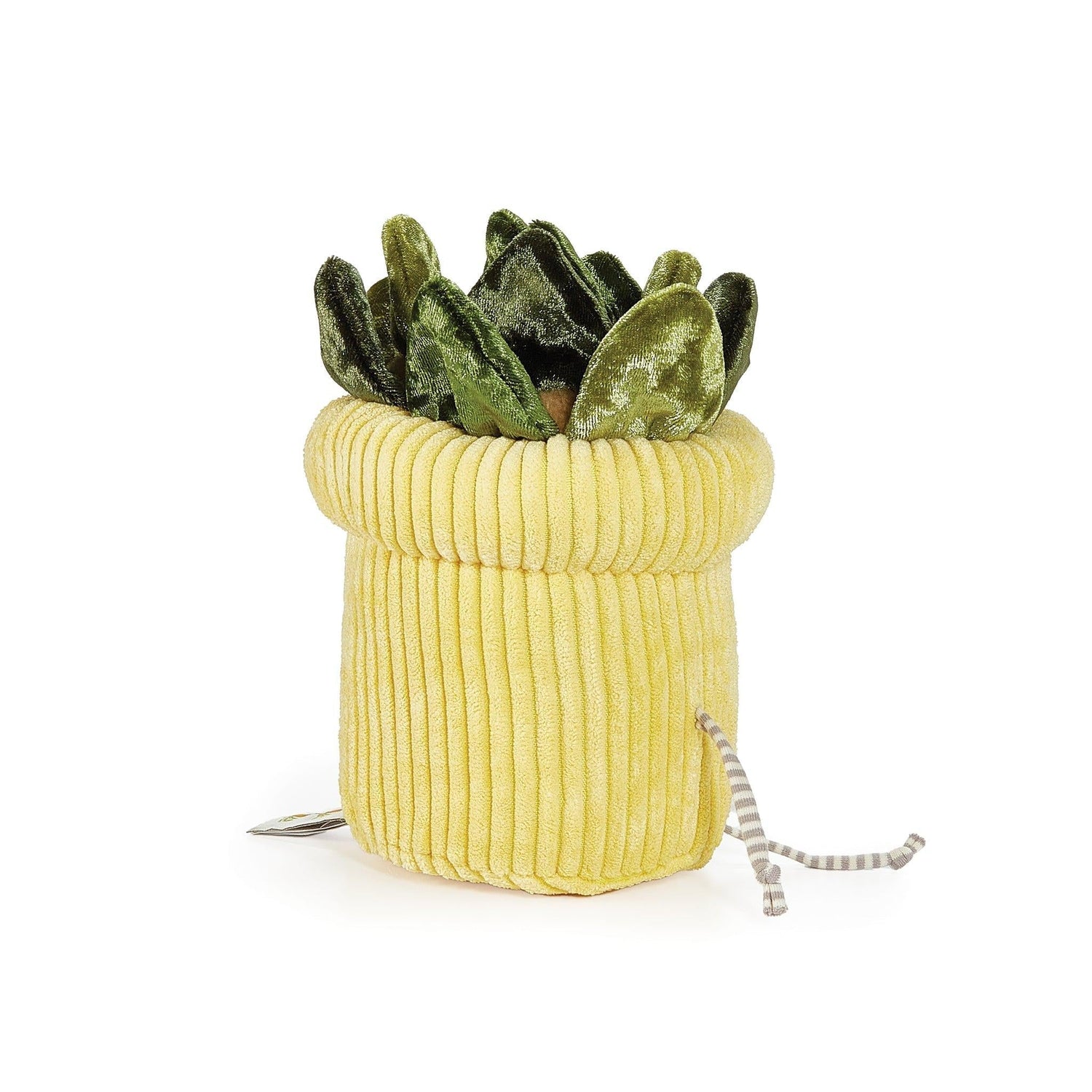 Succulent Plant Windowsill Plush