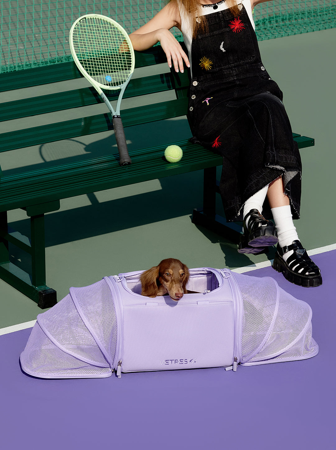 Sac de transport extensible pour chat et petit chien – Polyester violet, taille ajustable de 45 à 100 cm