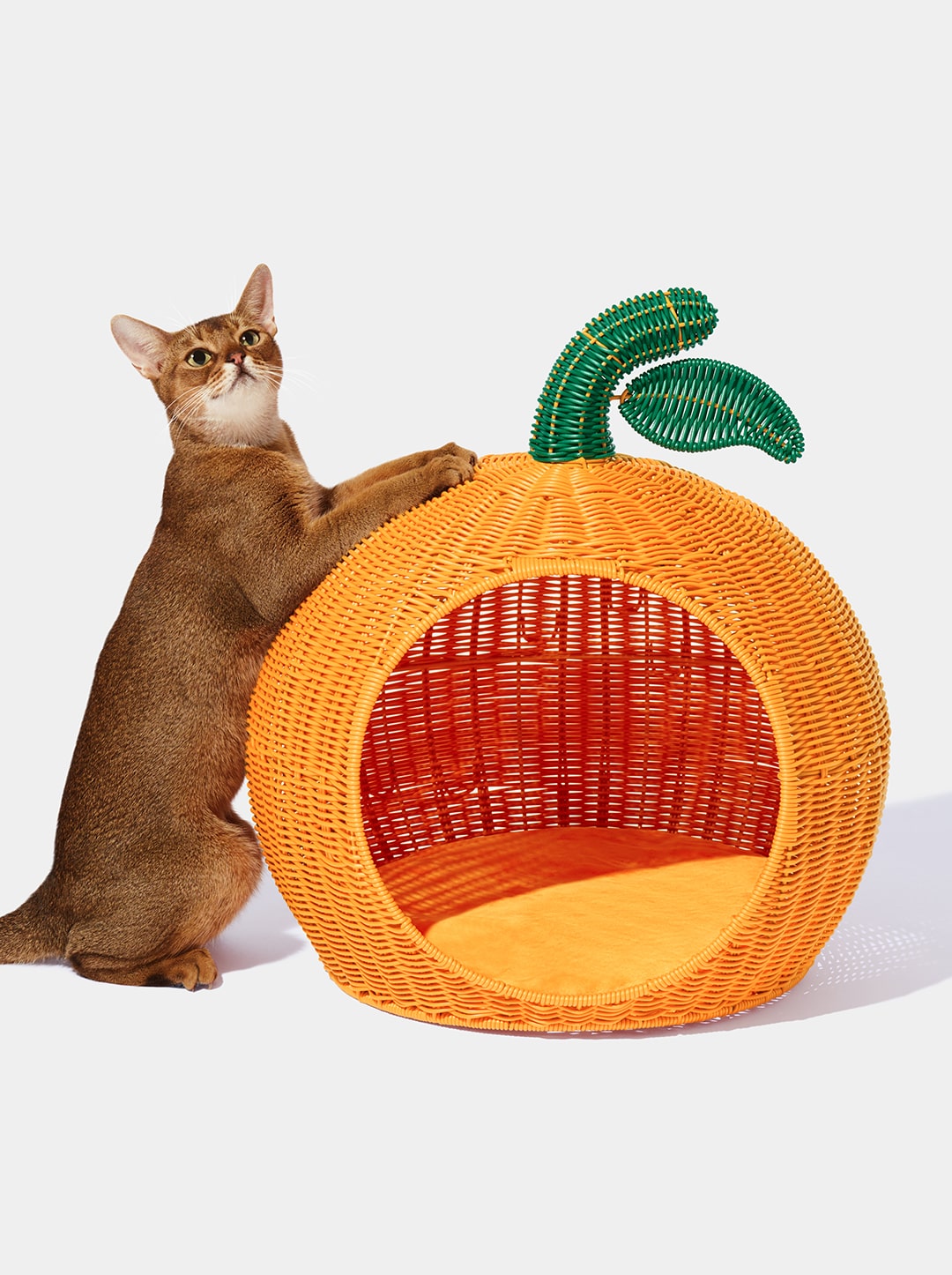 Rotan katten- en kleine hondenmand