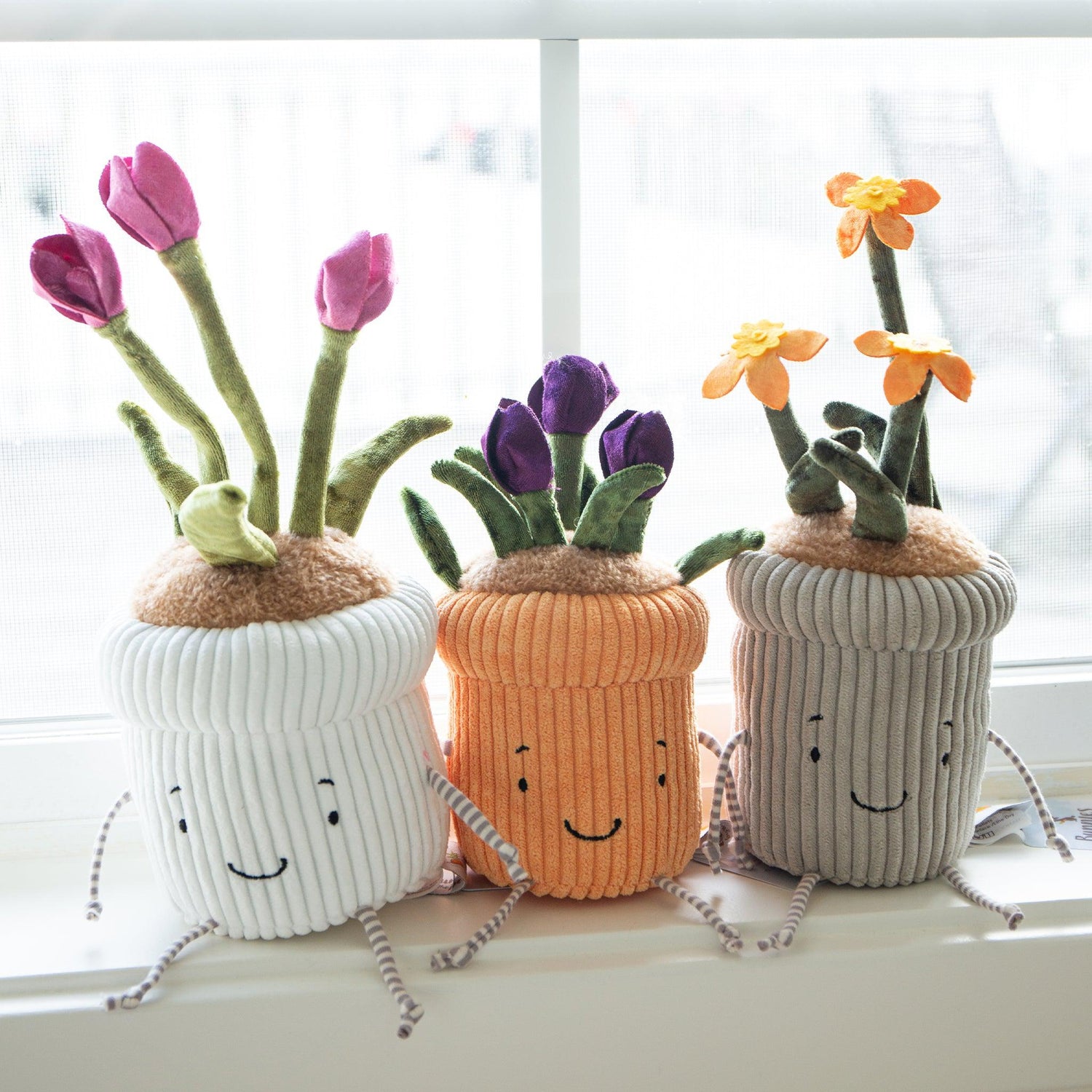 Window Sill-ies Tulip