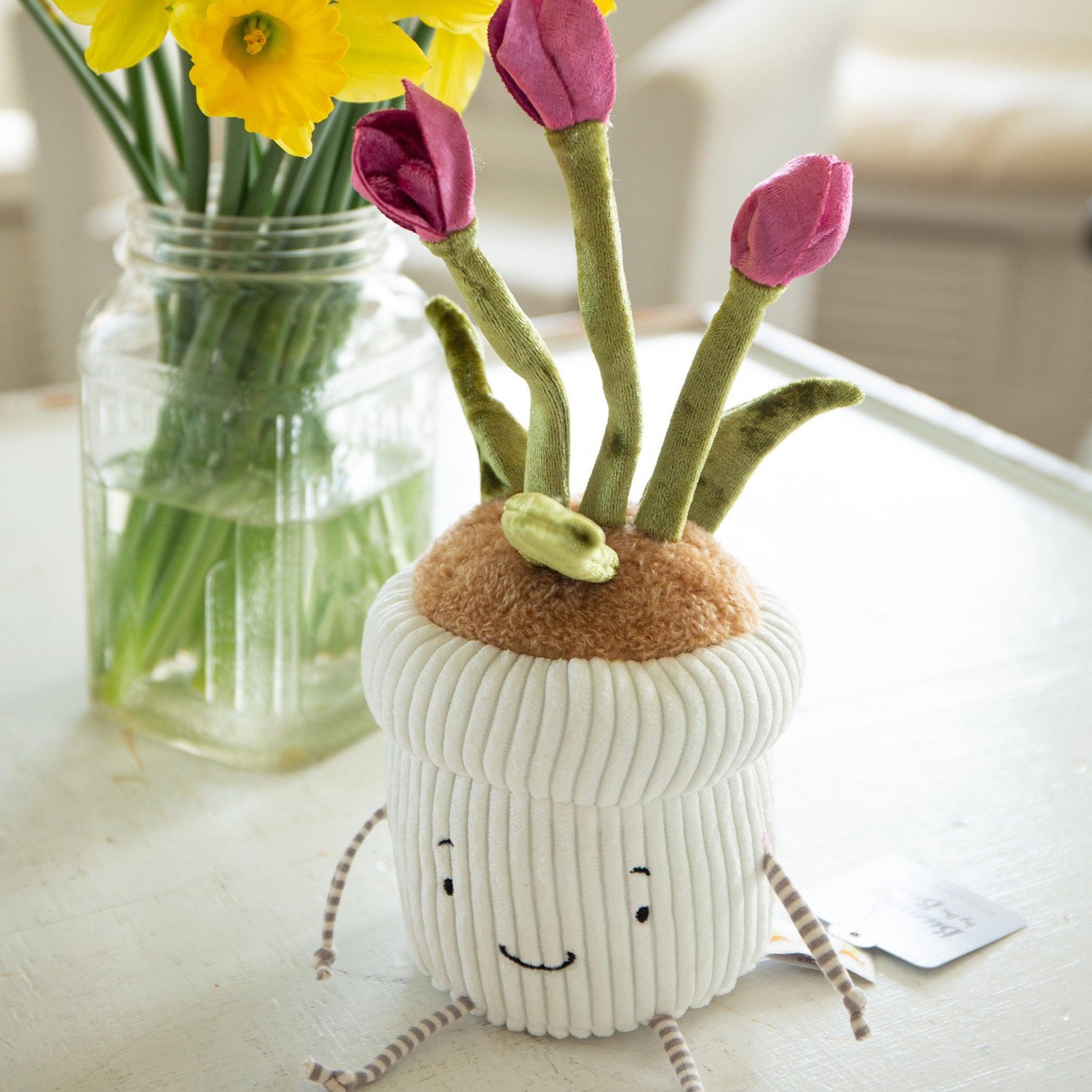 Window Sill-ies Tulip