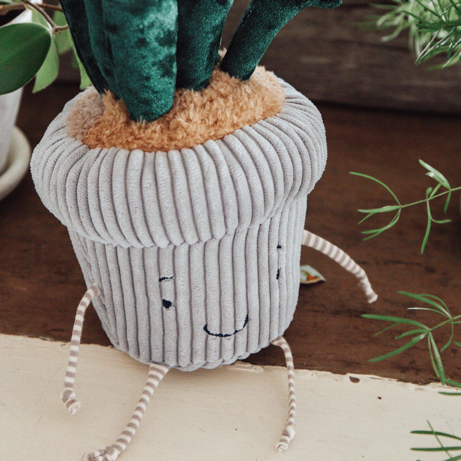 Snake Plant Windowsill Plush