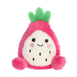 Palm Pal Dragonfruit 13cm