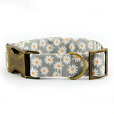 Verstelbare stoffen hondenhalsband - 4-laags genaaid XS–XL