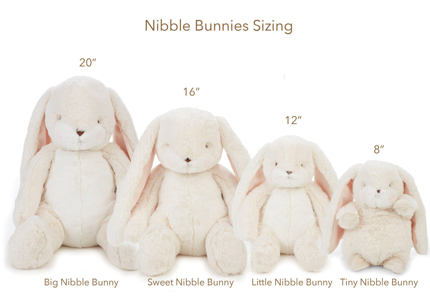 Holiday Big Nibble Cream 20