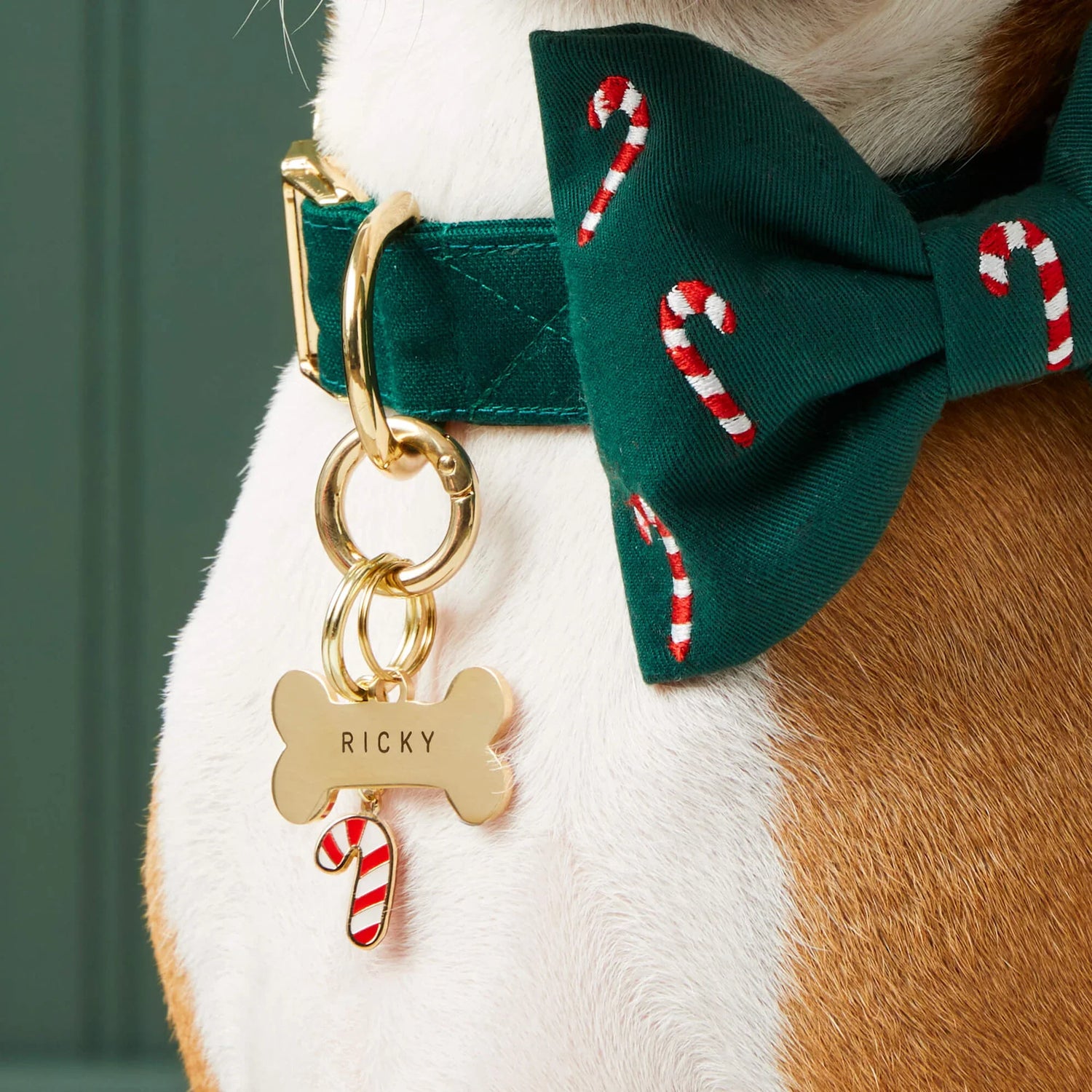 Green Dog Collar with Removable Embroidered Bow