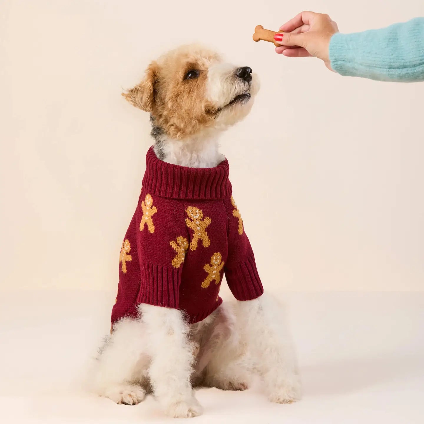 Gingerbread Knit Dog Sweater
